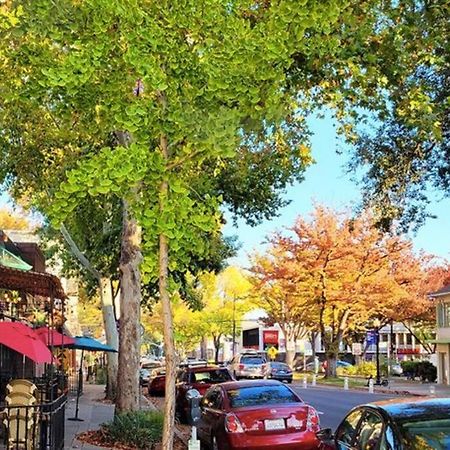 Artist'S Retreat Near The Heart Of The City Sacramento Exterior foto