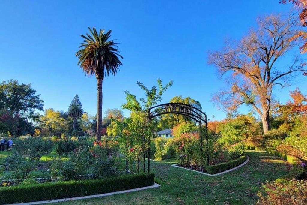 Artist'S Retreat Near The Heart Of The City Sacramento Exterior foto